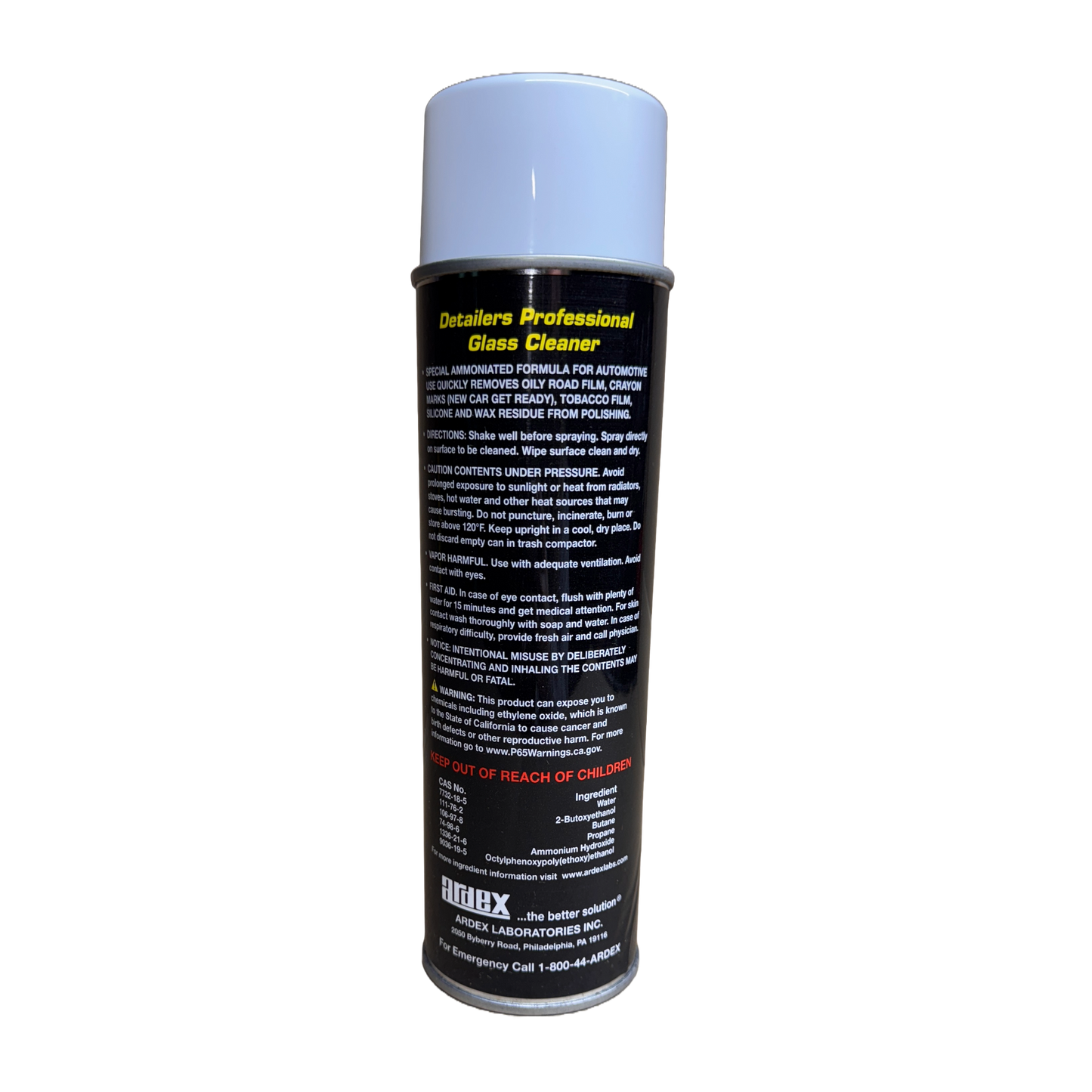 DETAILER'S GLASS- 18 OZ CAN